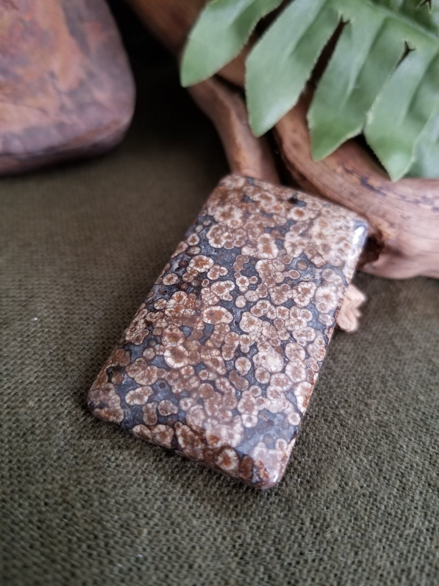 Fossilized coral rectangular bead with black, grey, and brown tones.