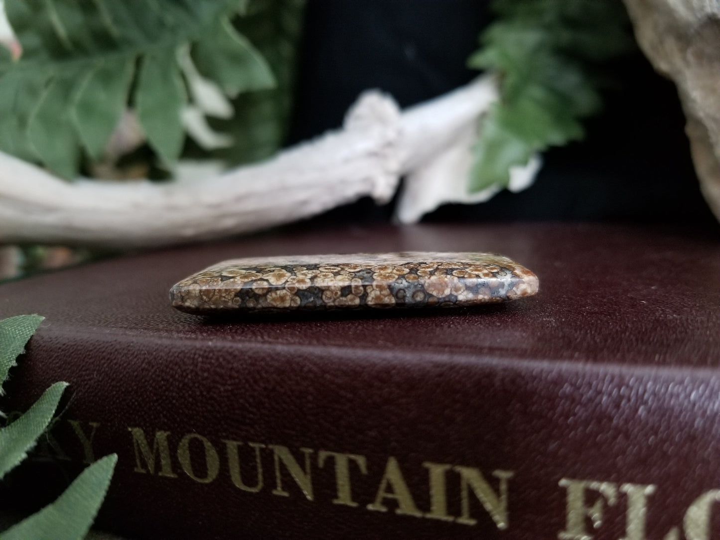 Fossilized coral rectangular bead with black, grey, and brown tones.