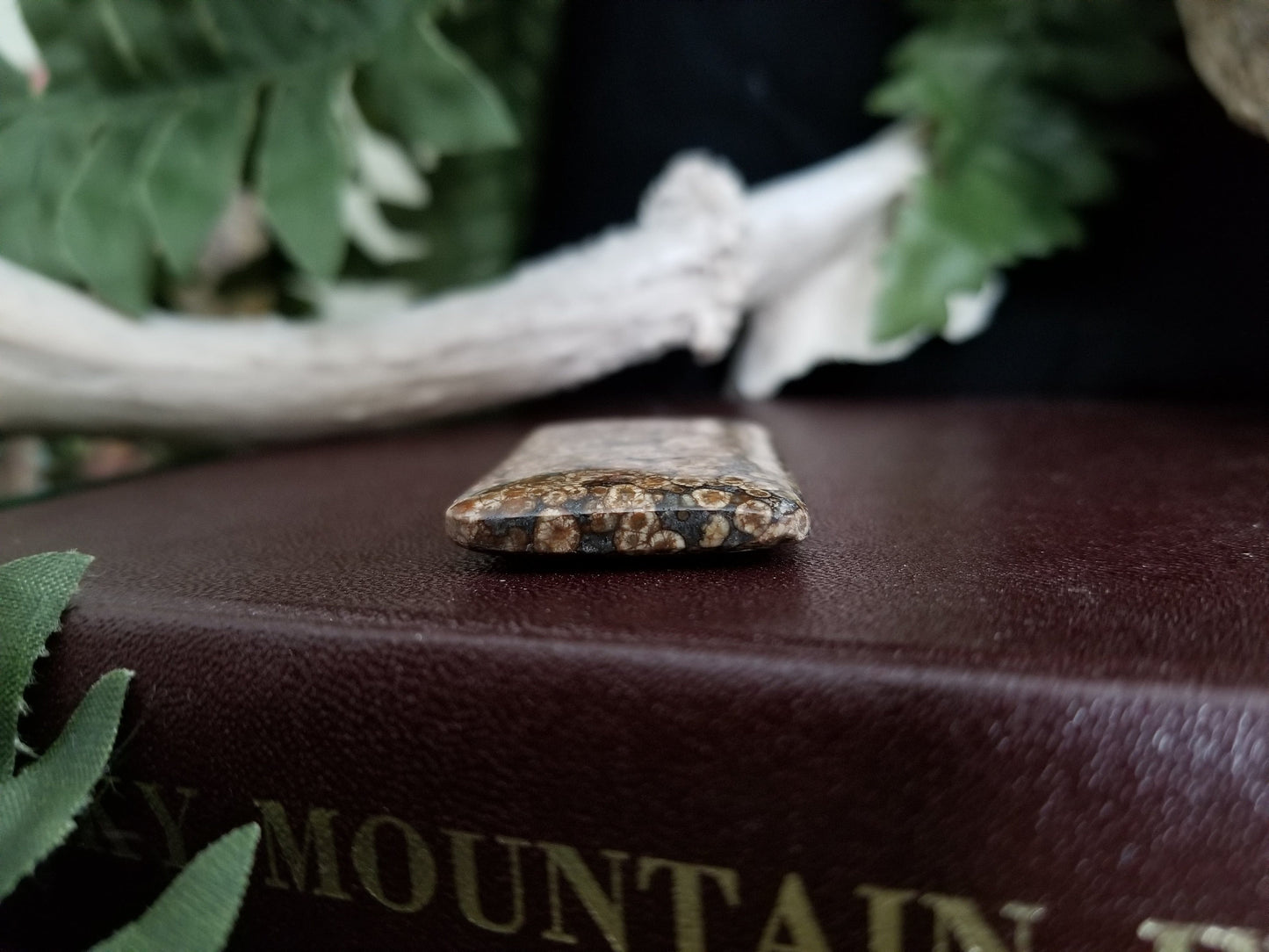 Fossilized coral rectangular bead with black, grey, and brown tones.