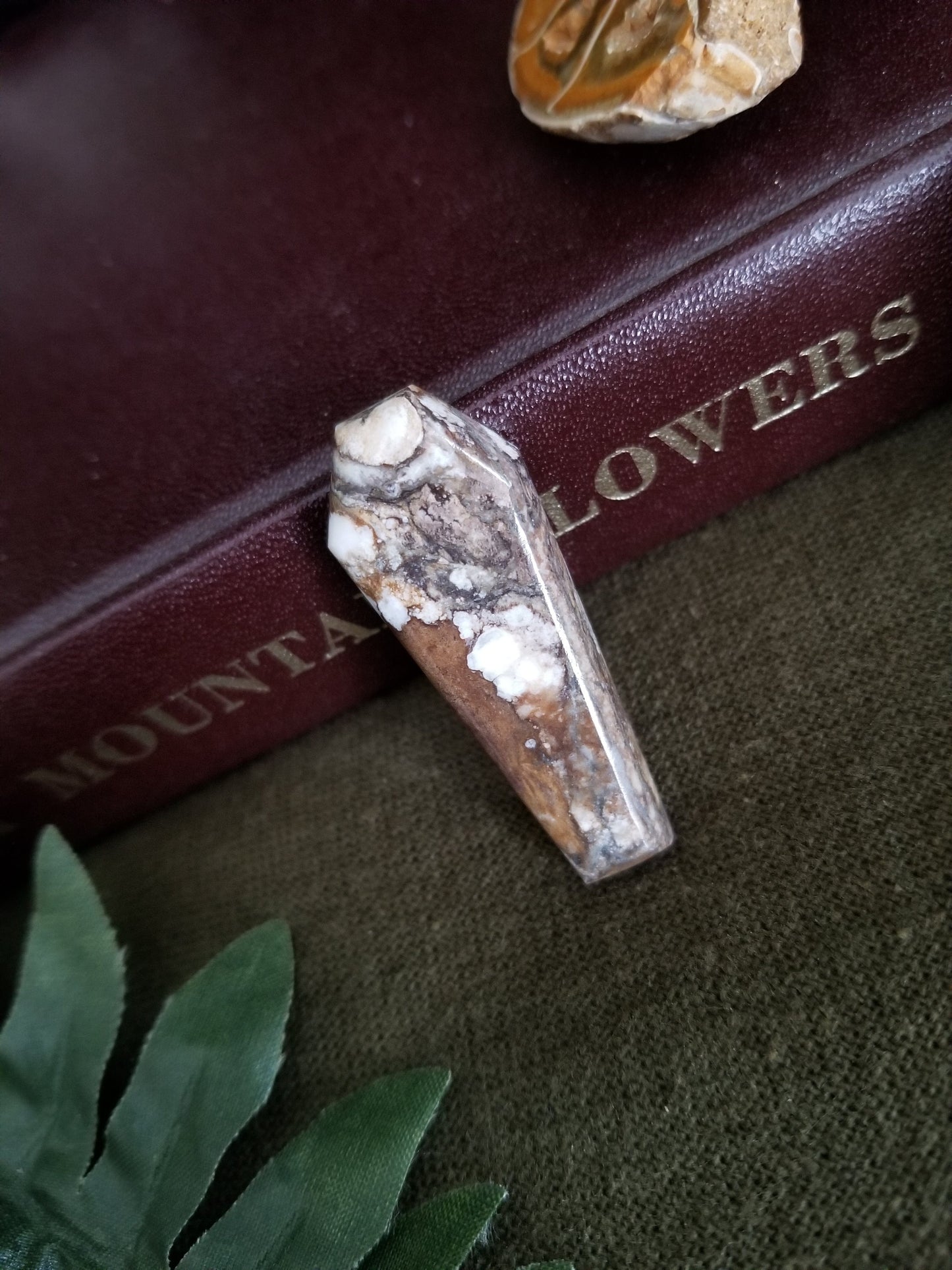 Coffin Cut Cabochon | Unknown Stone