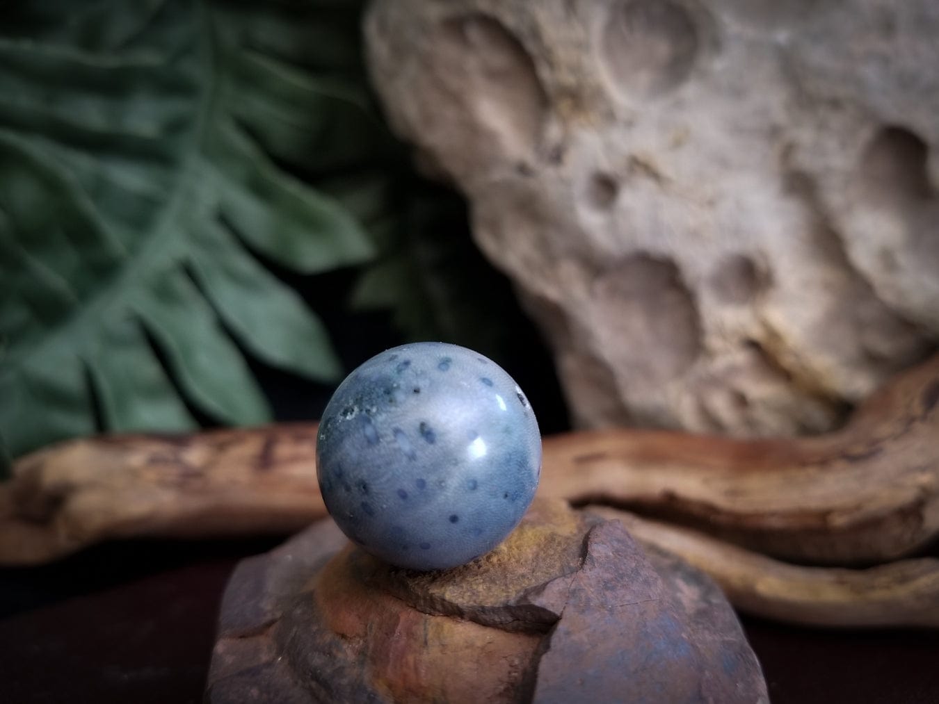 Fossilized Coral | Dyed Blue | Round Bead