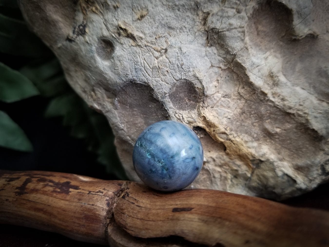 Fossilized Coral | Dyed Blue | Round Bead